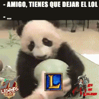 Lol Panda GIF - Lol Panda GIFs