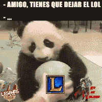 Lol Panda GIF