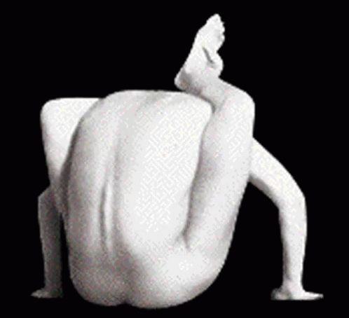 Contortionist GIF - Contortionist GIFs