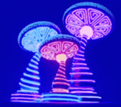 Psychedelic Mushrooms GIF - Psychedelic Mushrooms Drugs GIFs