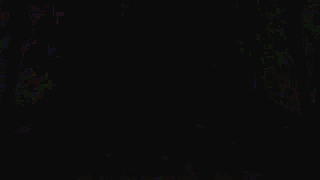 a christmas tree is being lit up by a spotlight