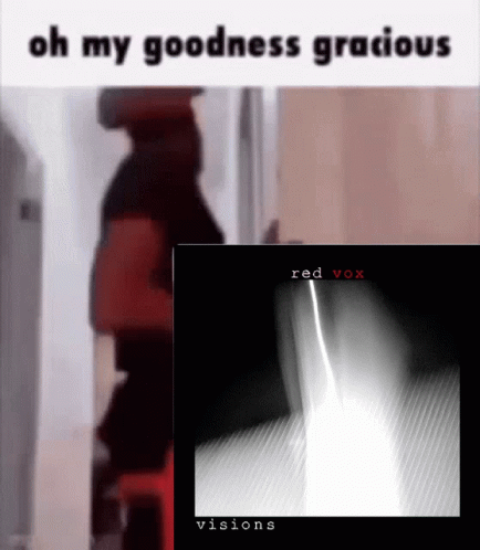 Red Vox Visions GIF - Red Vox Visions Oh My Goodness Gracious GIFs