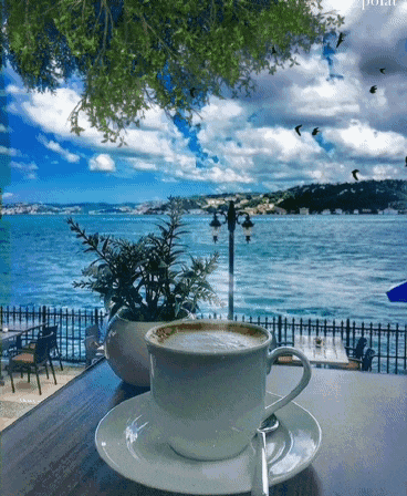 a cup of coffee sits on a saucer with a view of the ocean