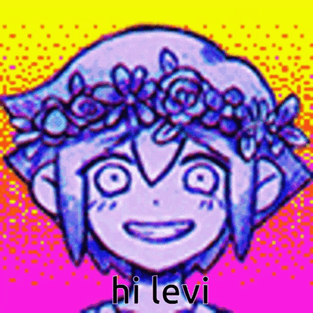 a drawing of a person with a flower crown on their head and the words `` hi levi '' .