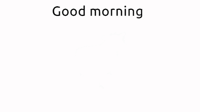 a black and white cow is standing on a white background with the words `` good morning '' written below it .