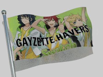 a flag that says gayzette-havers on it