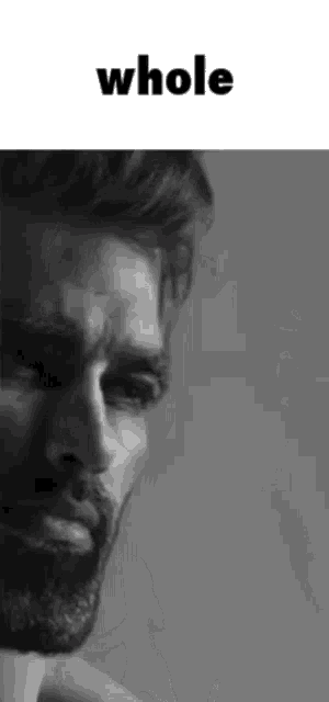 a man with a beard is looking at the camera in a black and white photo with the word whole above him .