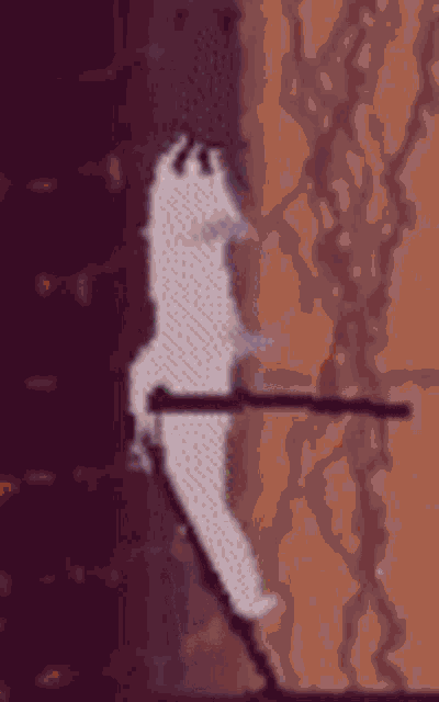 a silhouette of a person riding a scooter on a purple background .