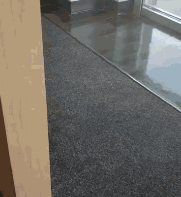 a corner of a room with a gray carpet and a window
