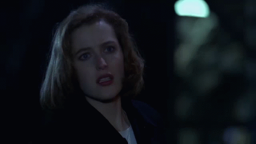 The X Files Yes But How GIF - The X Files Yes But How Scully GIFs