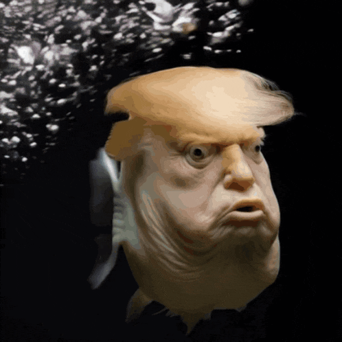 a fish with donald trump 's face on it is swimming in the water