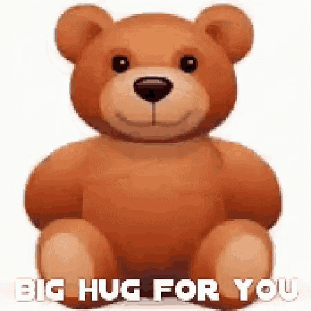 Big Hug For You Bear GIF - Big Hug For You Bear GIFs