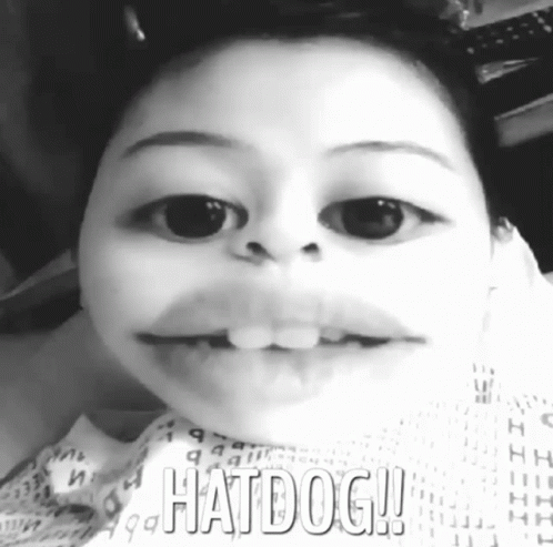 Hatdog Selfie GIF - Hatdog Selfie Filter GIFs