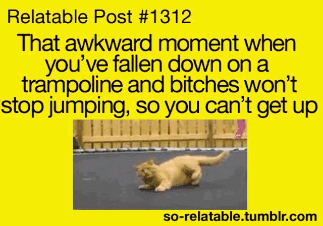 relatable post # 1312 that awkward moment when you 've fallen down on a trampoline and bitches won