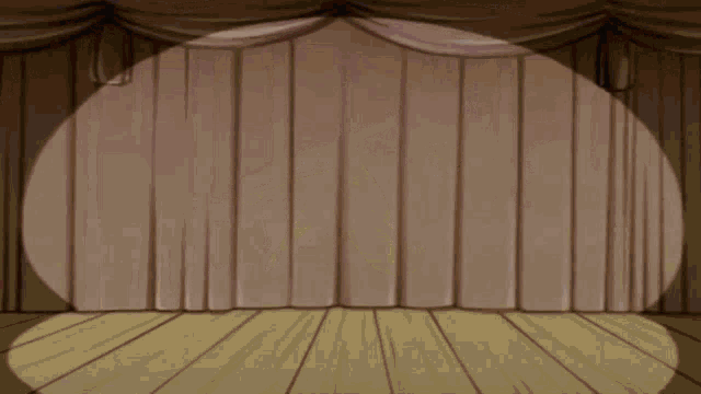a spotlight is shining on a star on a wooden stage