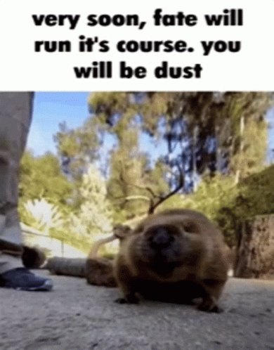 Very Soon Fate Will Run Its Course You Will Be Dust Your Time Will Come GIF - Very Soon Fate Will Run Its Course You Will Be Dust Your Time Will Come Karma GIFs