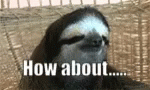 How About Yes Yes GIF - How About Yes Yes Sloth Yes GIFs