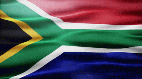 South Africa Flag GIF - South Africa Flag Gif GIFs