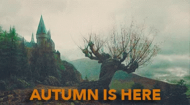 First Day Of Autumn First Day Of Fall GIF - First Day Of Autumn First Day Of Fall Fall GIFs