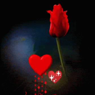 Heart Rose Love GIF - Heart Rose Love GIFs
