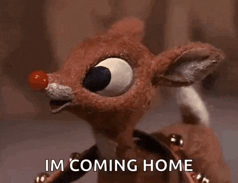 a stuffed reindeer with a red nose and the words `` i 'm coming home ''