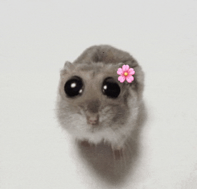 a hamster with a pink flower on its ear