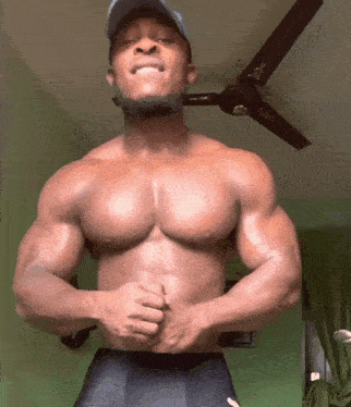 Muscles Bodybuilder GIF - Muscles Bodybuilder Pecs GIFs