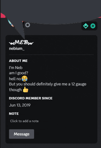 a screenshot of a discord member 's profile