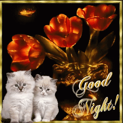 Good Night Kittens GIF - Good Night Kittens Butterflys GIFs