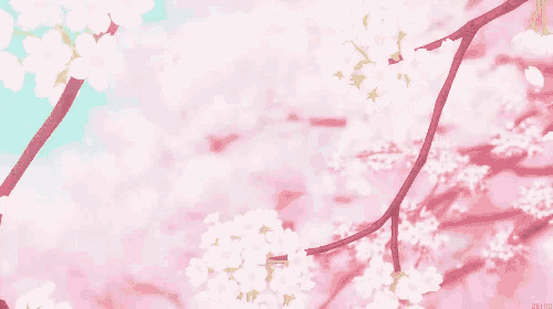 a cherry blossom tree with pink and white flowers on it