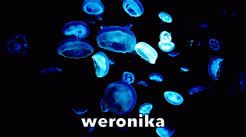 Weronikajellyfish Cute GIF - Weronikajellyfish Weronika Jellyfish GIFs