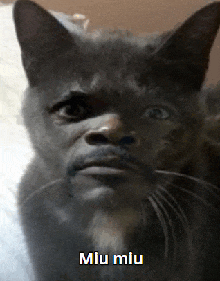 a close up of a cat 's face with the words miu miu above it