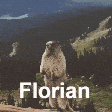 Florian Scream GIF - Florian Scream Marmot GIFs