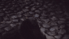 a vampire is standing on a cobblestone street in the dark .