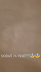 a picture of a refrigerator with the words scout is real