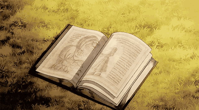 an open book with a drawing of a woman on the cover