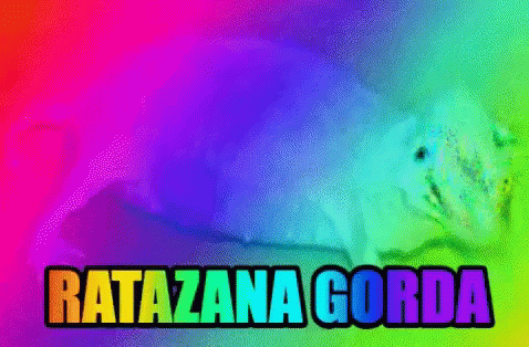 Ratazana Gorda Ratazana Arcoiris GIF - Ratazana Gorda Ratazana Arcoiris Ratazana GIFs