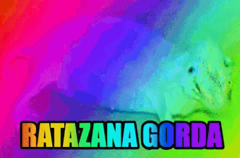 a rainbow colored background with the words ratazana gorda written on it