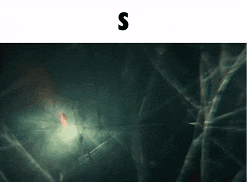 a dark background with the letter s on the bottom