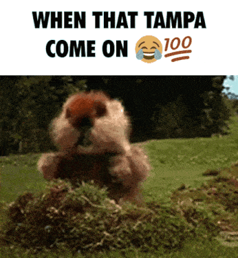 a picture of a squirrel with a caption that says when that tampa come on 100