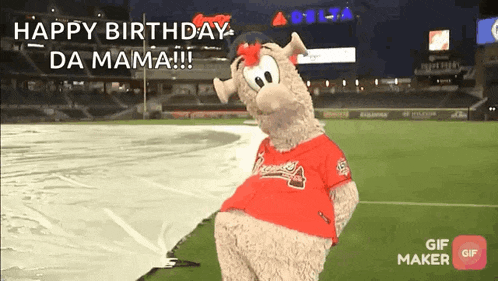 a mascot says happy birthday da mama in front of a baseball field