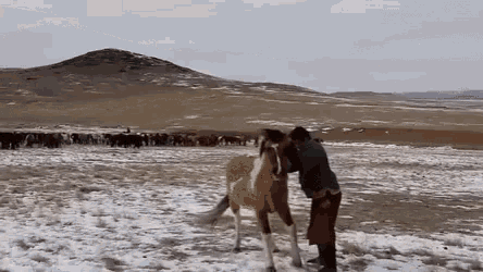 Mongolian Riding Lessons GIF - Mongolian Riding Lessons Lets Ride GIFs