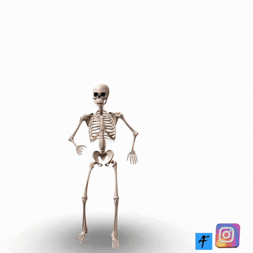 a picture of a skeleton with the caption " when the teacher says no homework this weekend "