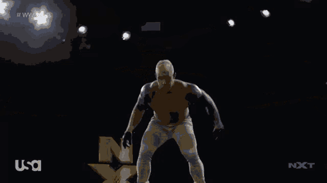 a wrestling match is being broadcast on usa