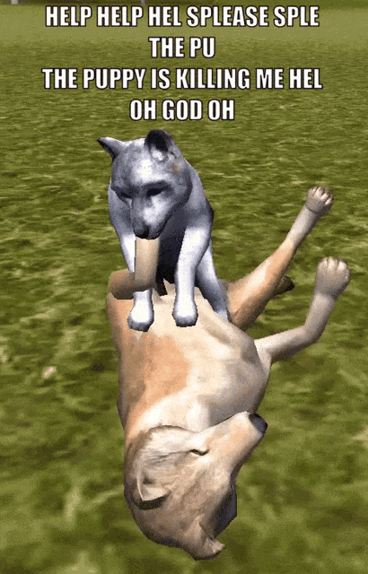 a picture of a dog with the caption help help hel splease sple