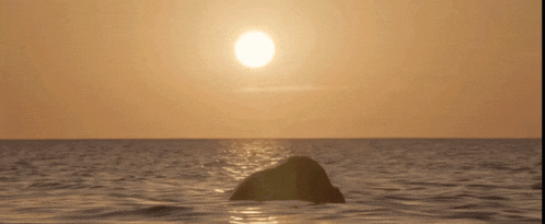a large rock in the middle of a body of water with the sun setting in the background