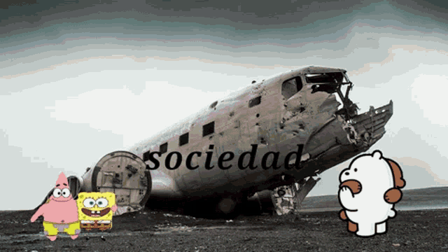 spongebob patrick and we bare bears are standing in front of a sociedad plane