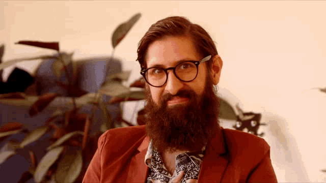 a man with a beard and glasses looks at the camera