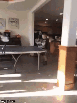 a person playing ping pong in a living room with the url imgflip.com visible