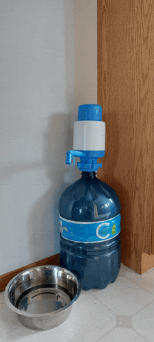 a bottle of aquafina water sits next to a metal bowl of water